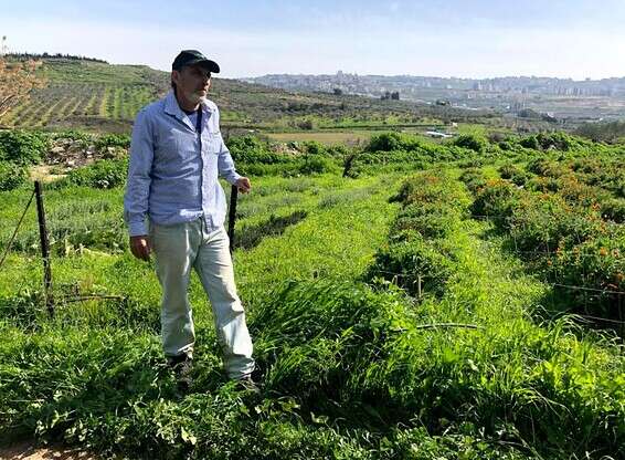 פרץ גן, "על עלים" // צילום: מאיה דרין